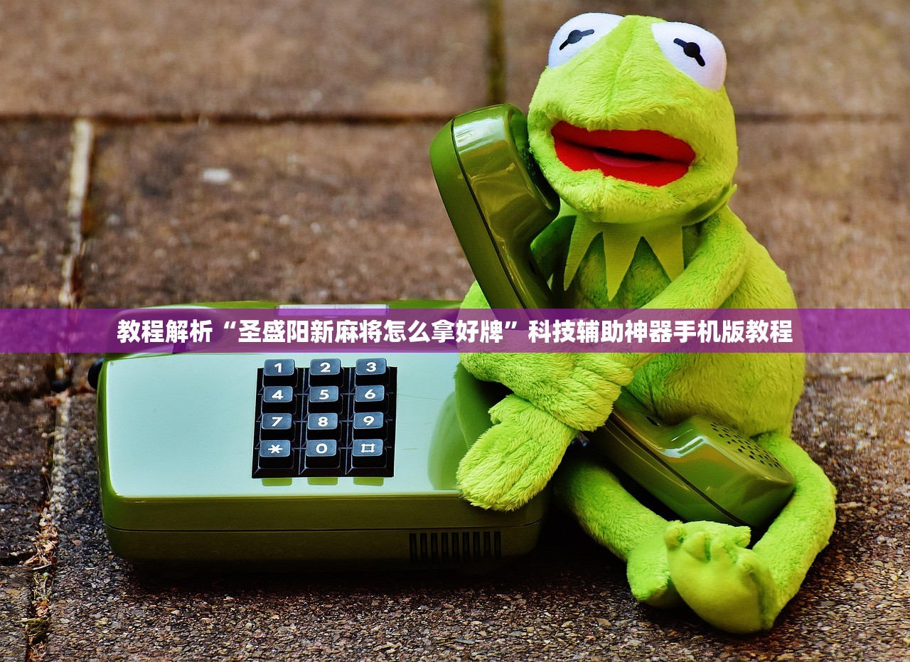 教程解析“圣盛阳新麻将怎么拿好牌	”科技辅助神器手机版教程