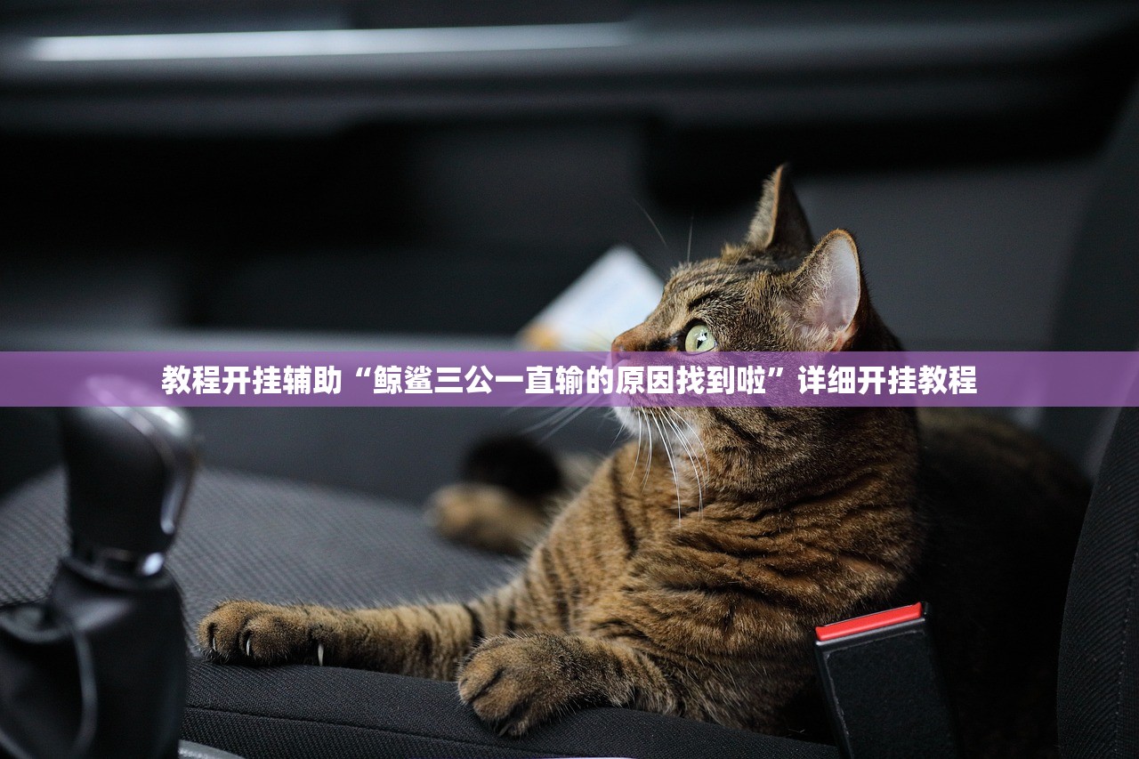 教程开挂辅助“鲸鲨三公一直输的原因找到啦	”详细开挂教程