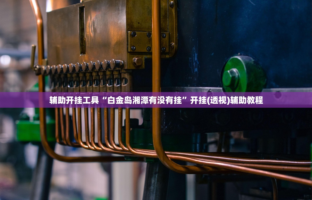 辅助开挂工具“白金岛湘潭有没有挂	”开挂(透视)辅助教程