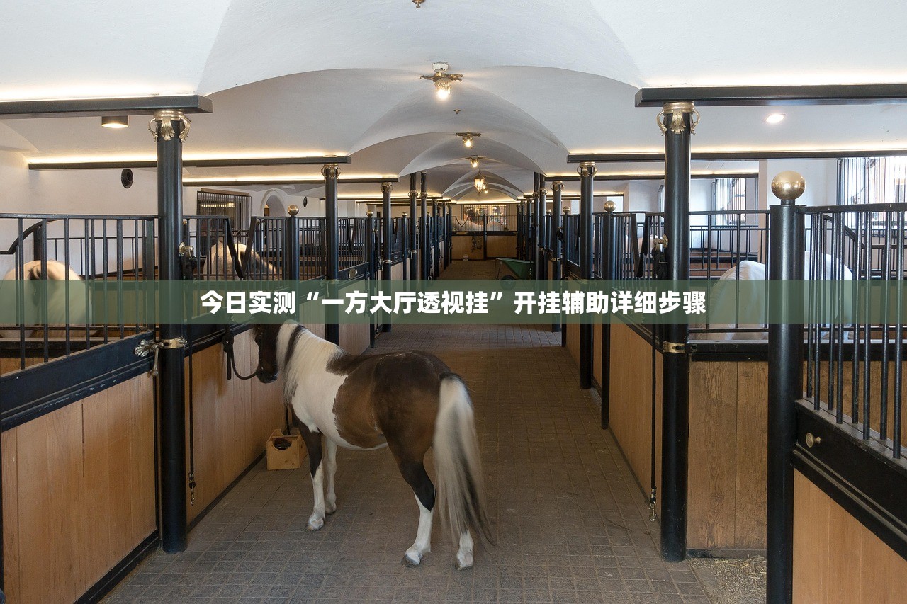 今日实测“一方大厅透视挂”开挂辅助详细步骤
