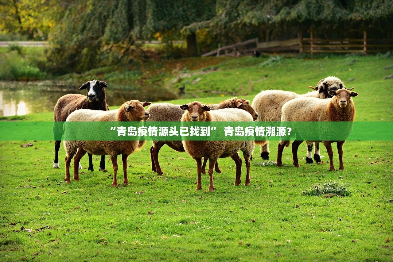 “青岛疫情源头已找到	” 青岛疫情溯源？
