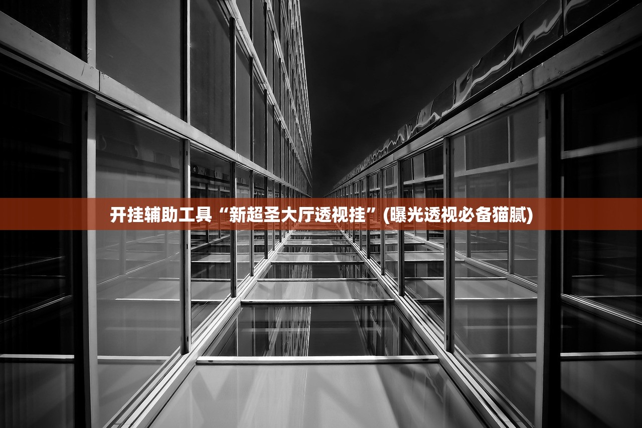 开挂辅助工具“新超圣大厅透视挂”(曝光透视必备猫腻)