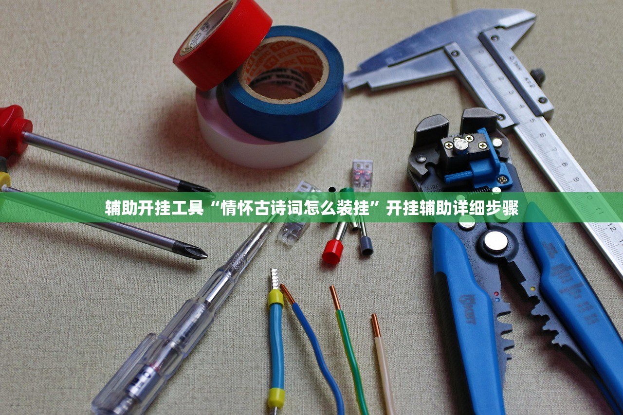 辅助开挂工具“情怀古诗词怎么装挂”开挂辅助详细步骤