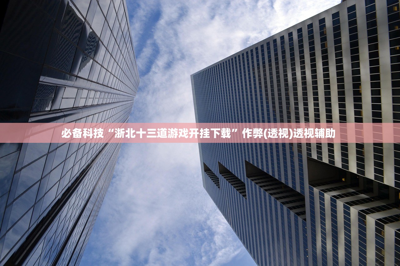必备科技“浙北十三道游戏开挂下载”作弊(透视)透视辅助 
