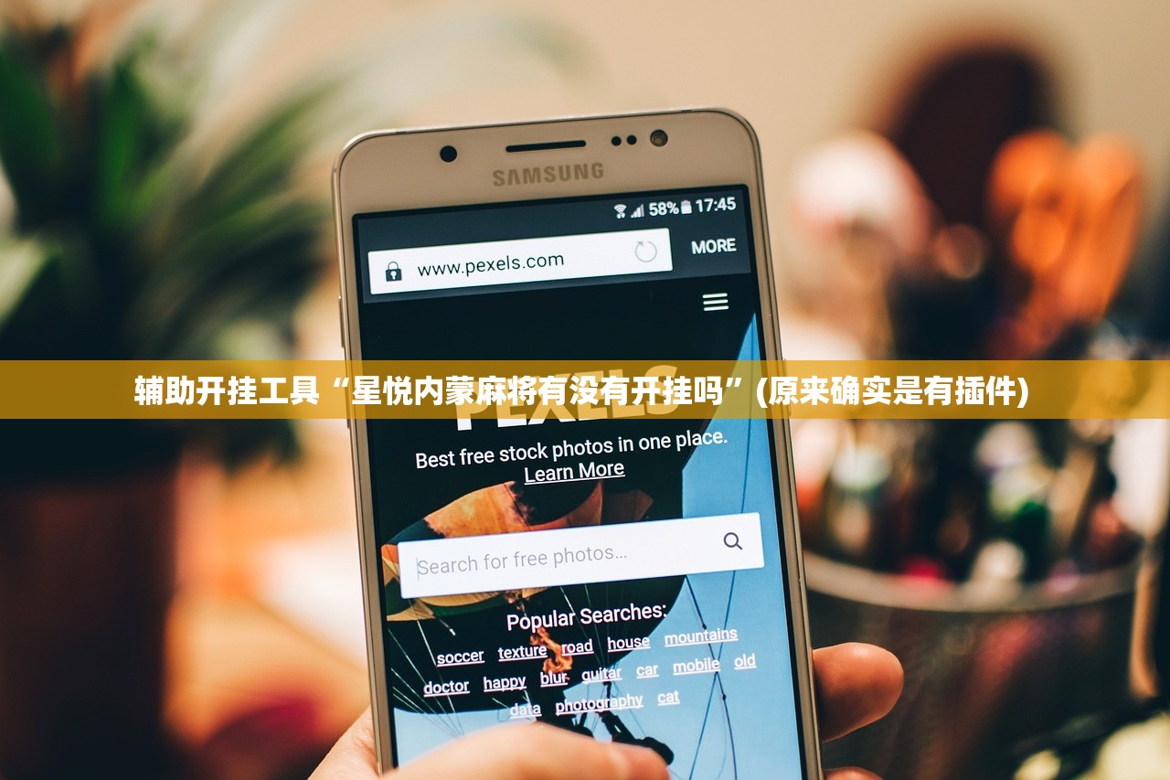 辅助开挂工具“星悦内蒙麻将有没有开挂吗	”(原来确实是有插件) 