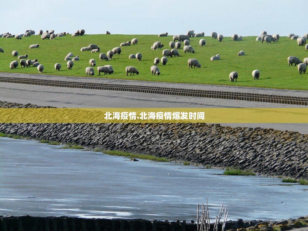北海疫情.北海疫情爆发时间