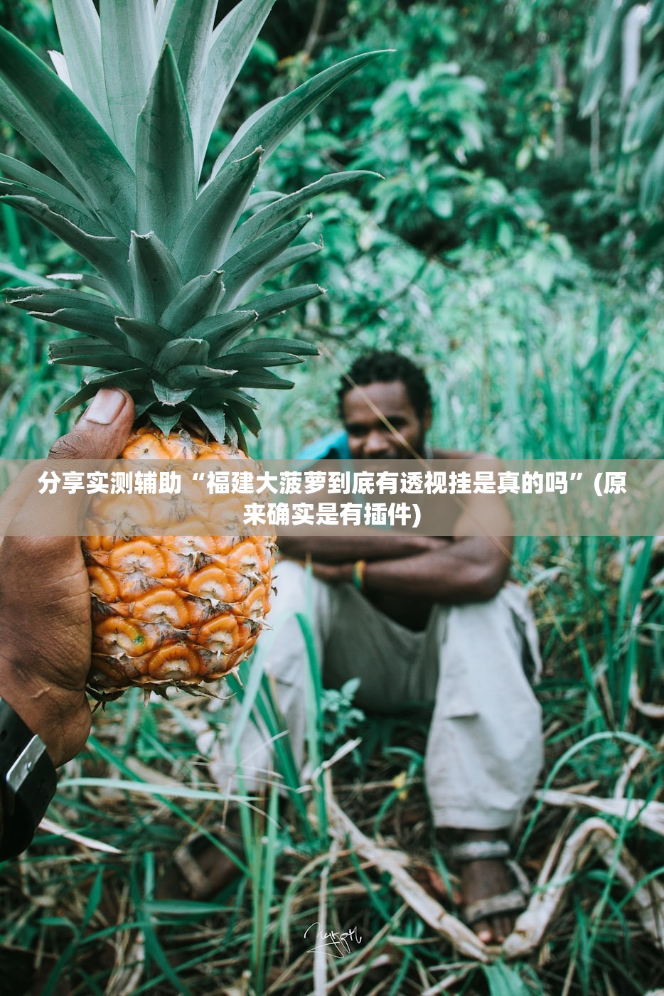 分享实测辅助“福建大菠萝到底有透视挂是真的吗	”(原来确实是有插件)