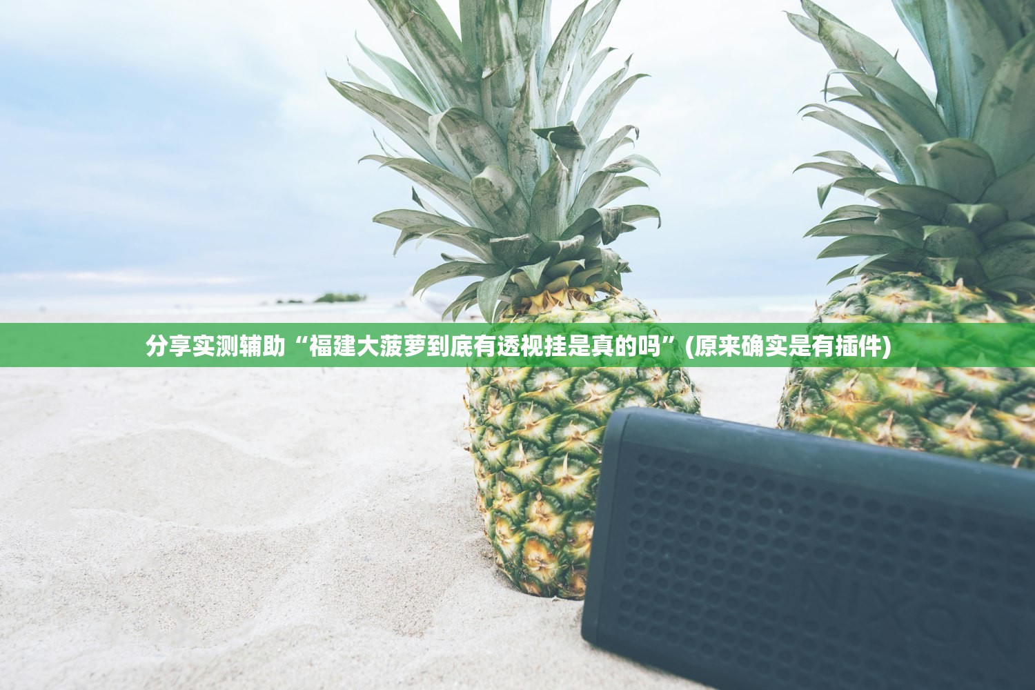 分享实测辅助“福建大菠萝到底有透视挂是真的吗	”(原来确实是有插件)