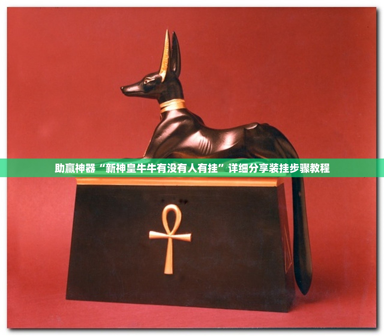 助赢神器“新神皇牛牛有没有人有挂”详细分享装挂步骤教程