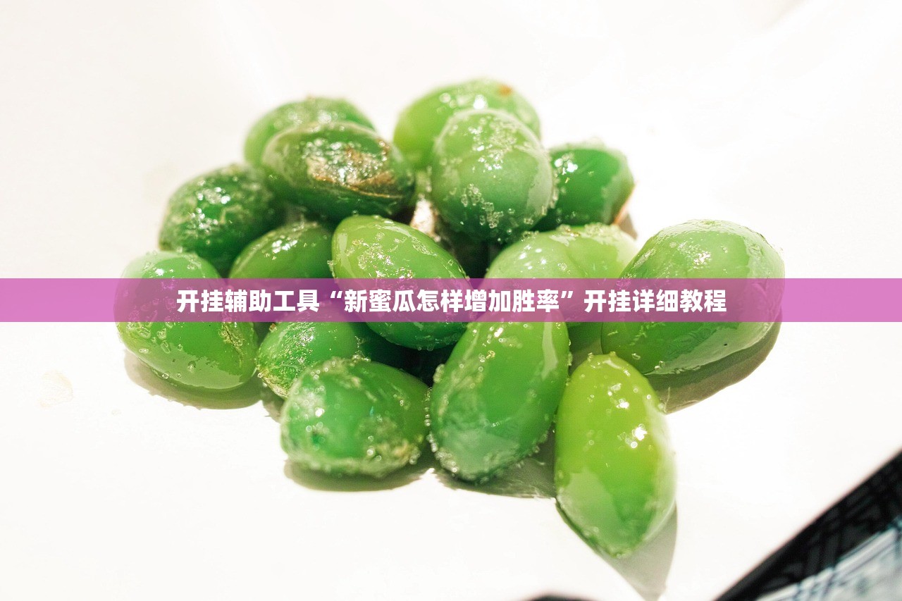开挂辅助工具“新蜜瓜怎样增加胜率”开挂详细教程