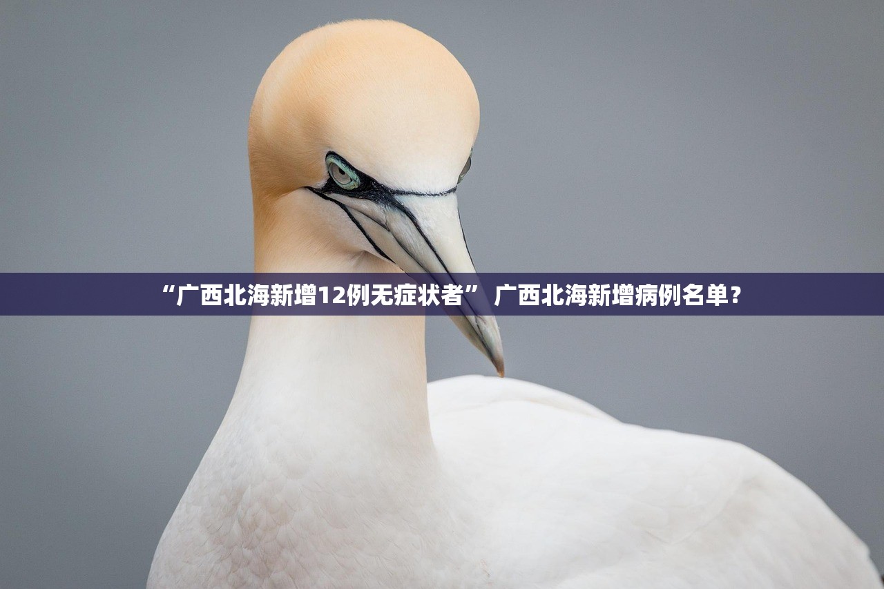 “广西北海新增12例无症状者” 广西北海新增病例名单？