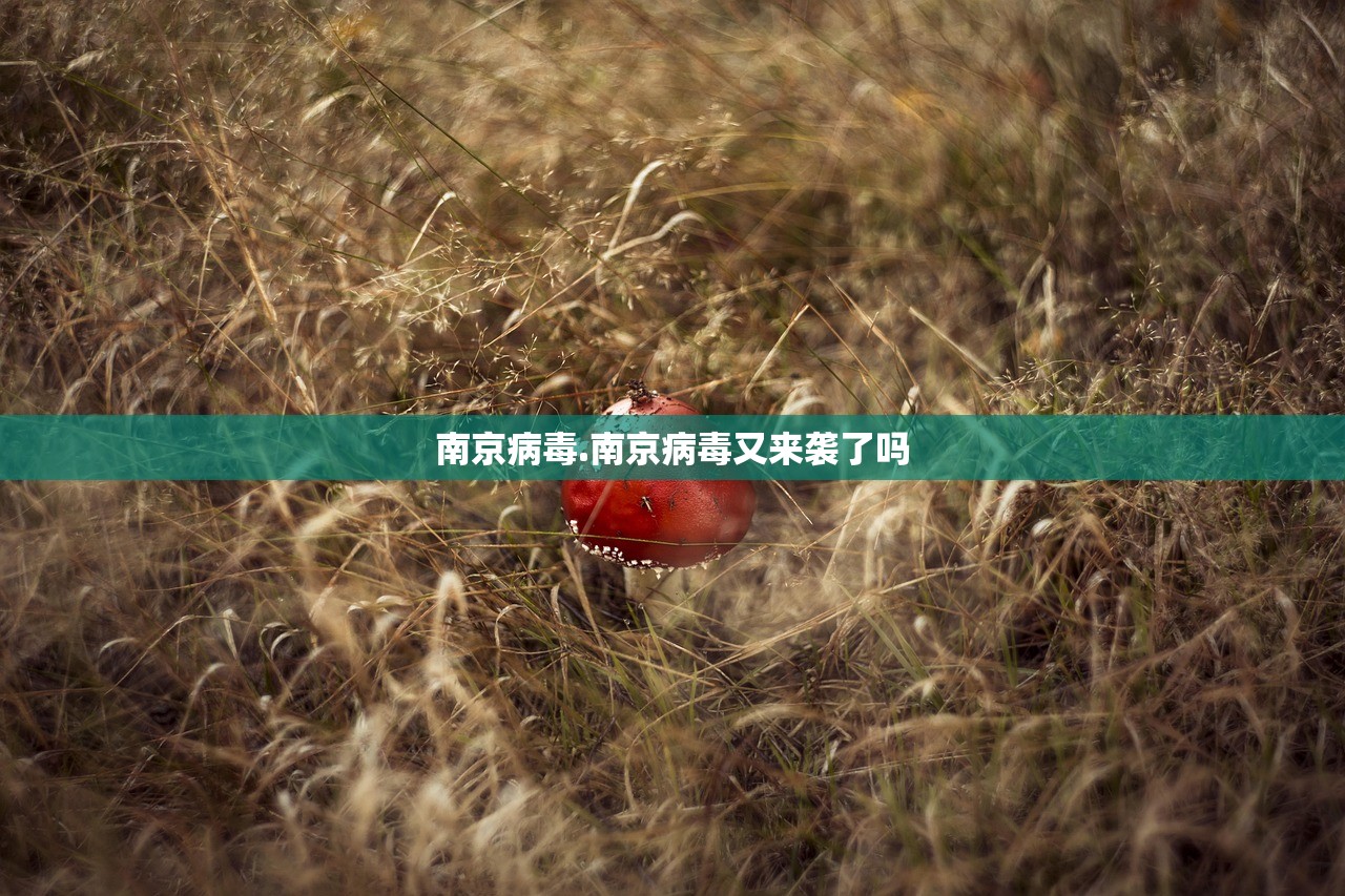 南京病毒.南京病毒又来袭了吗