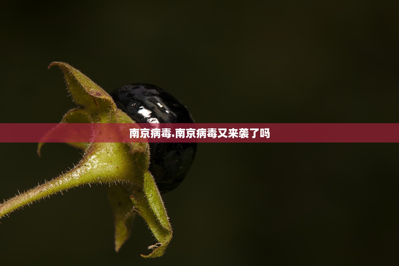 南京病毒.南京病毒又来袭了吗