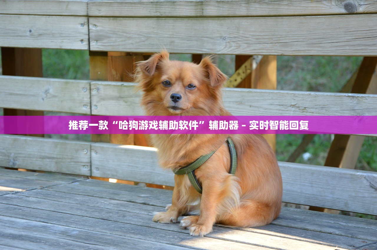 推荐一款“哈狗游戏辅助软件”辅助器 – 实时智能回复