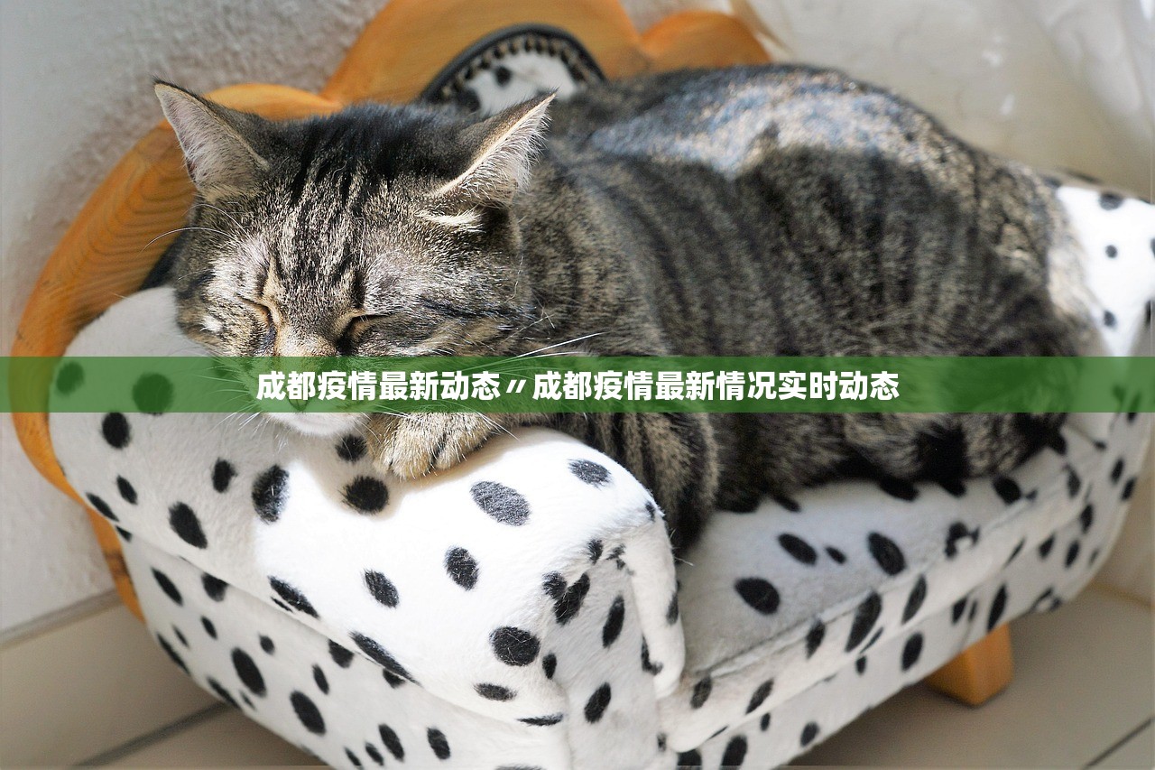 河南最新的疫情〃河南最新的疫情防控政策