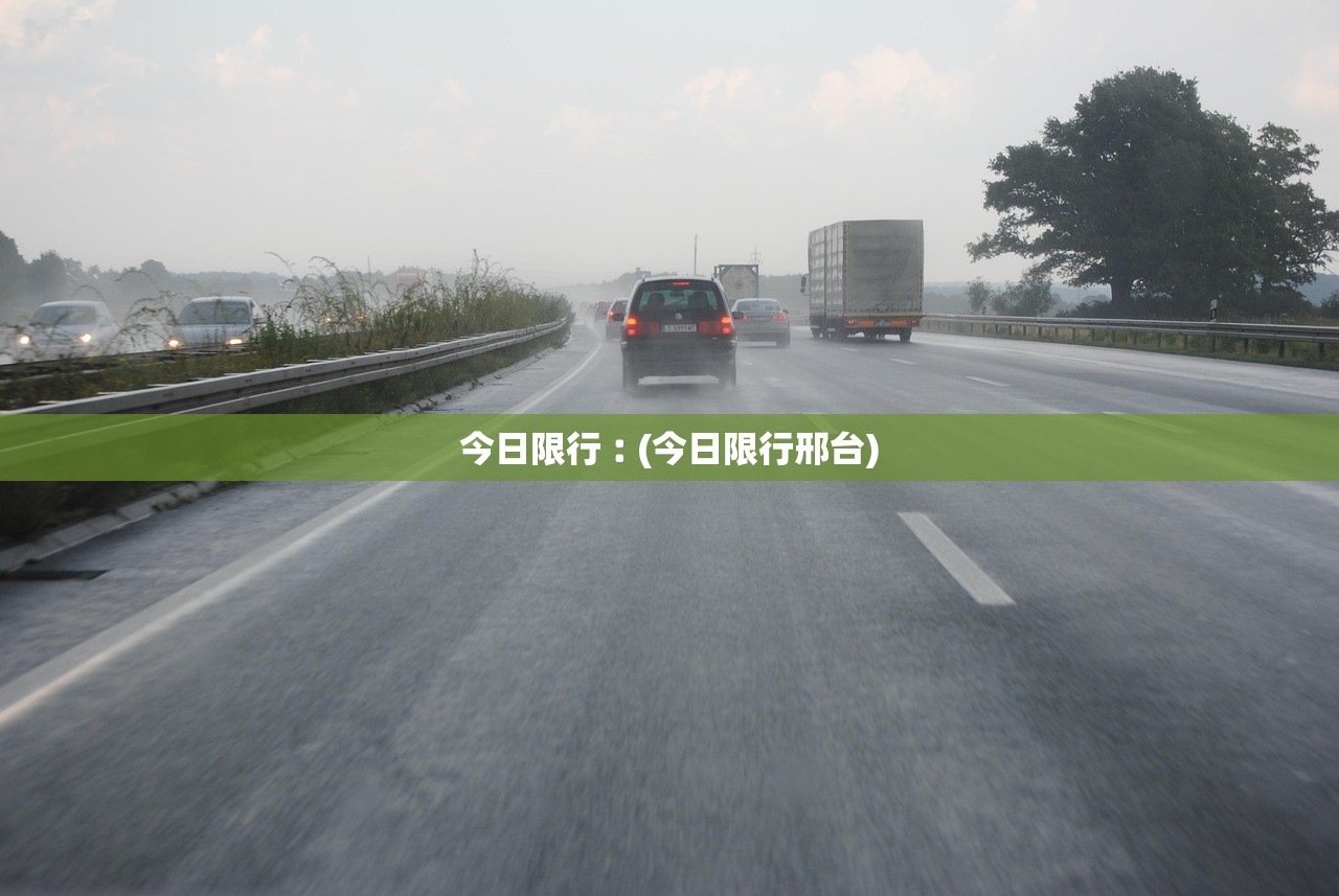 今日限行︰(今日限行邢台)