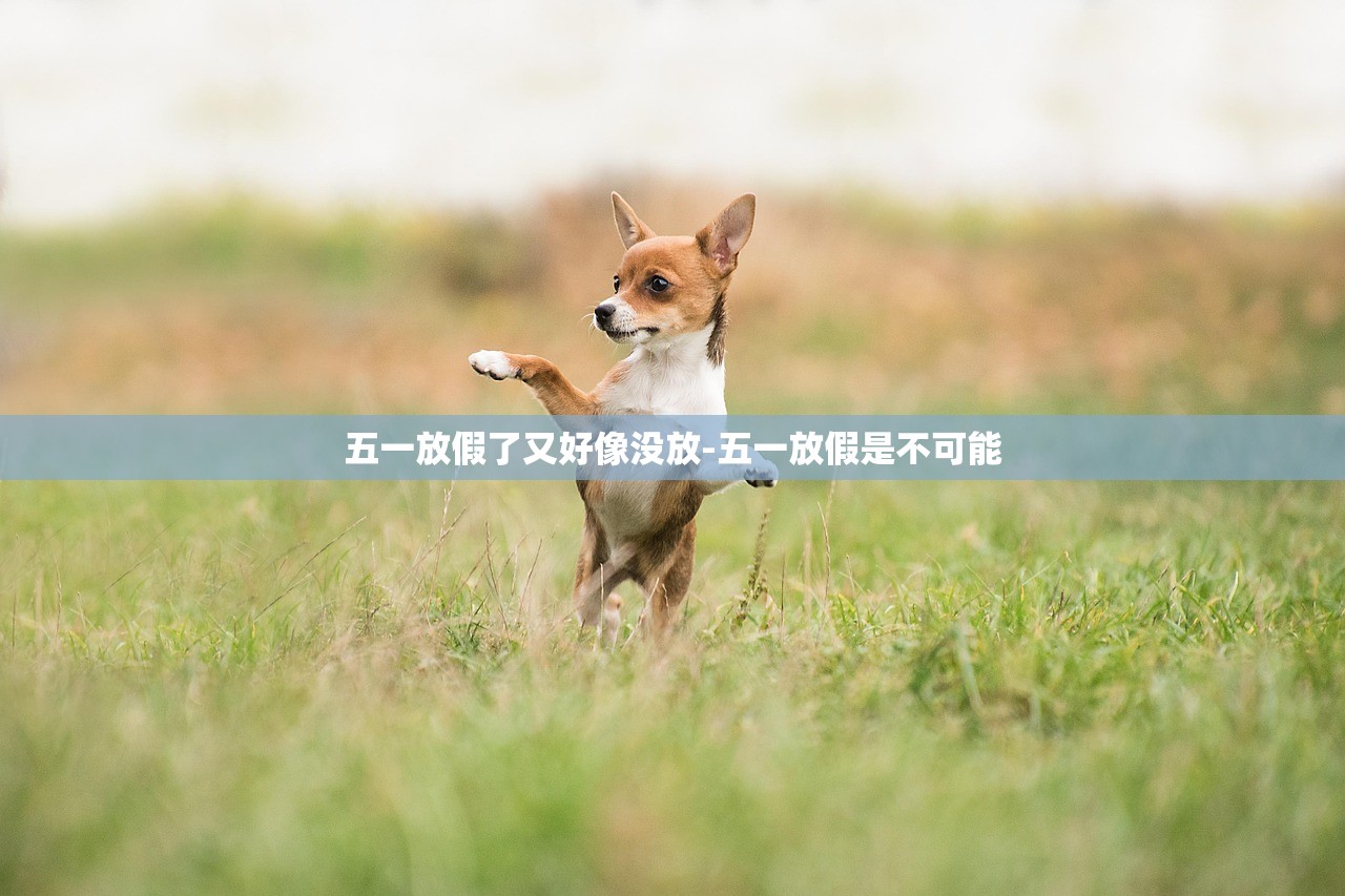 五一放假了又好像没放-五一放假是不可能