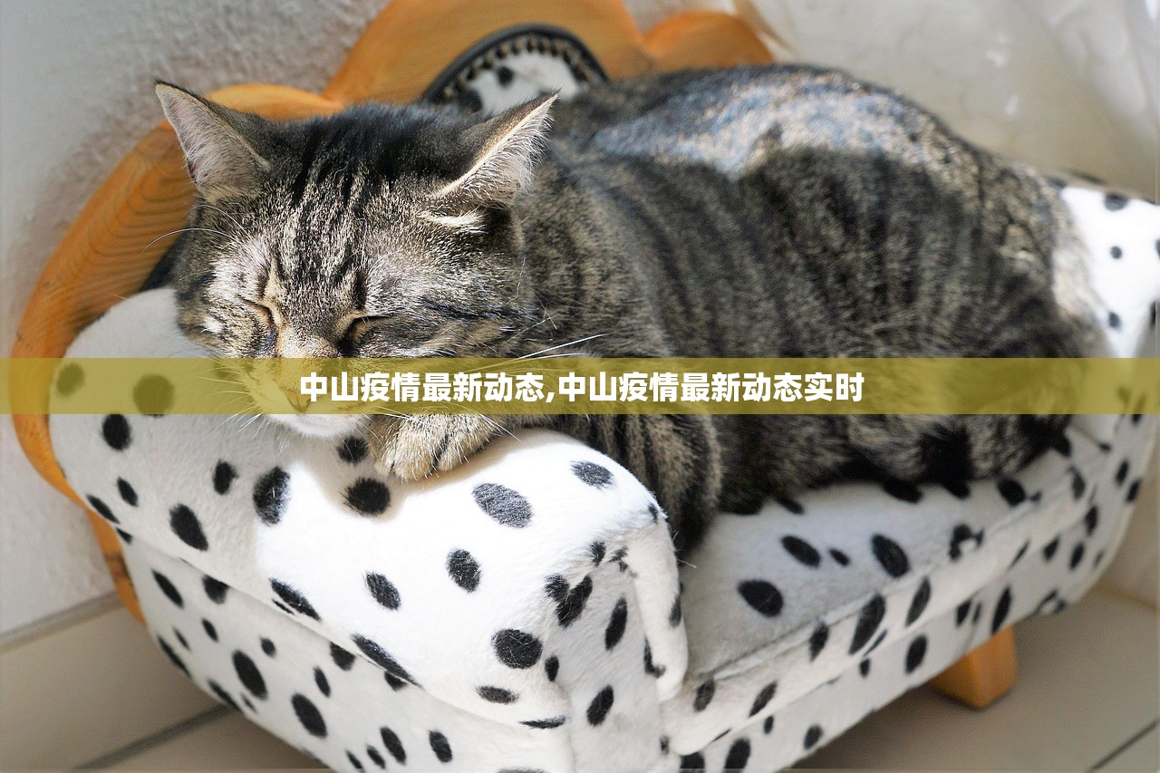 中山疫情最新动态,中山疫情最新动态实时