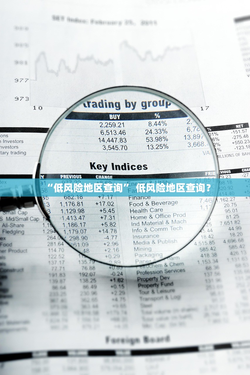 “低风险地区查询” 低风险地区查询？