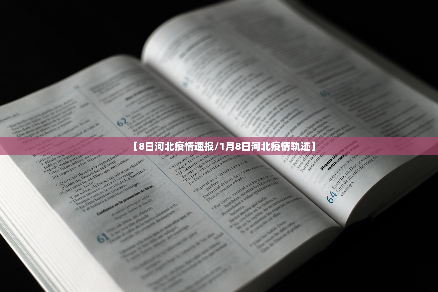 【8日河北疫情速报/1月8日河北疫情轨迹】