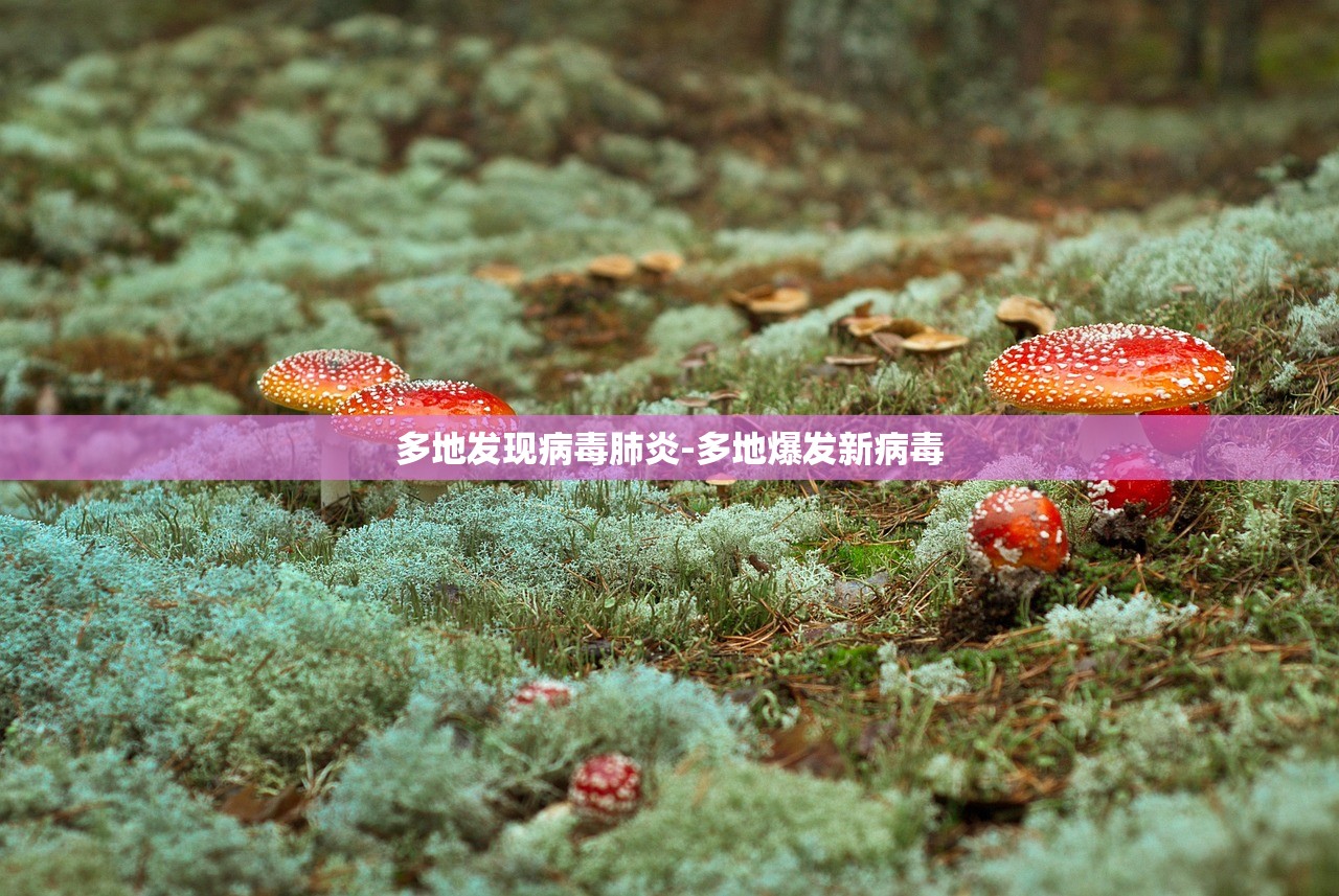 多地发现病毒肺炎-多地爆发新病毒