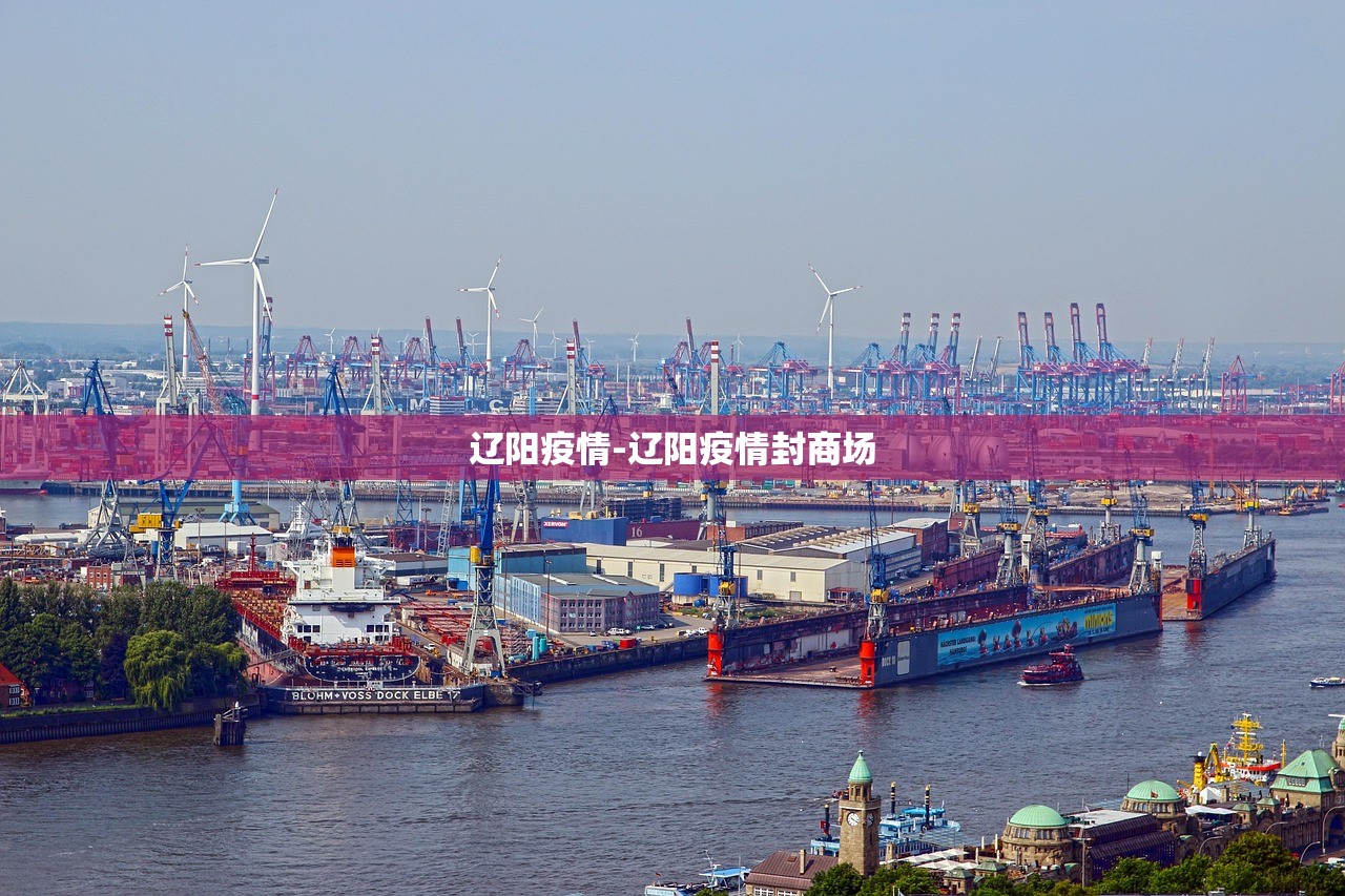 辽阳疫情-辽阳疫情封商场