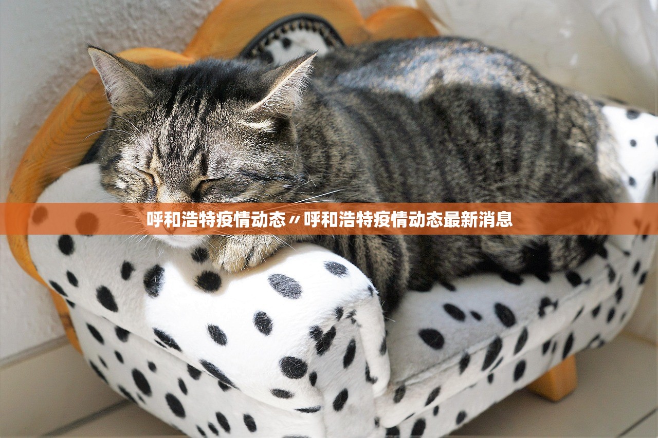 呼和浩特疫情动态〃呼和浩特疫情动态最新消息