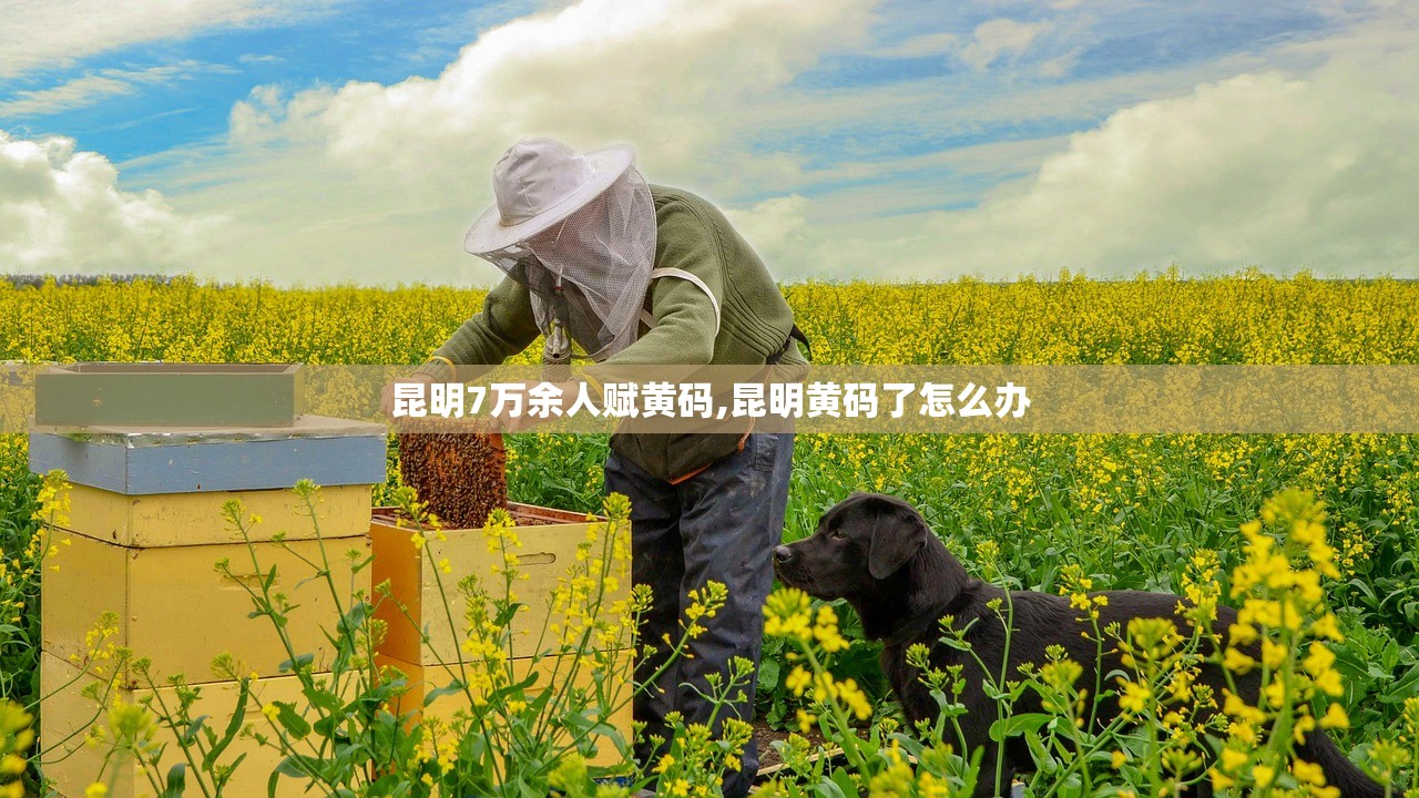 昆明7万余人赋黄码,昆明黄码了怎么办