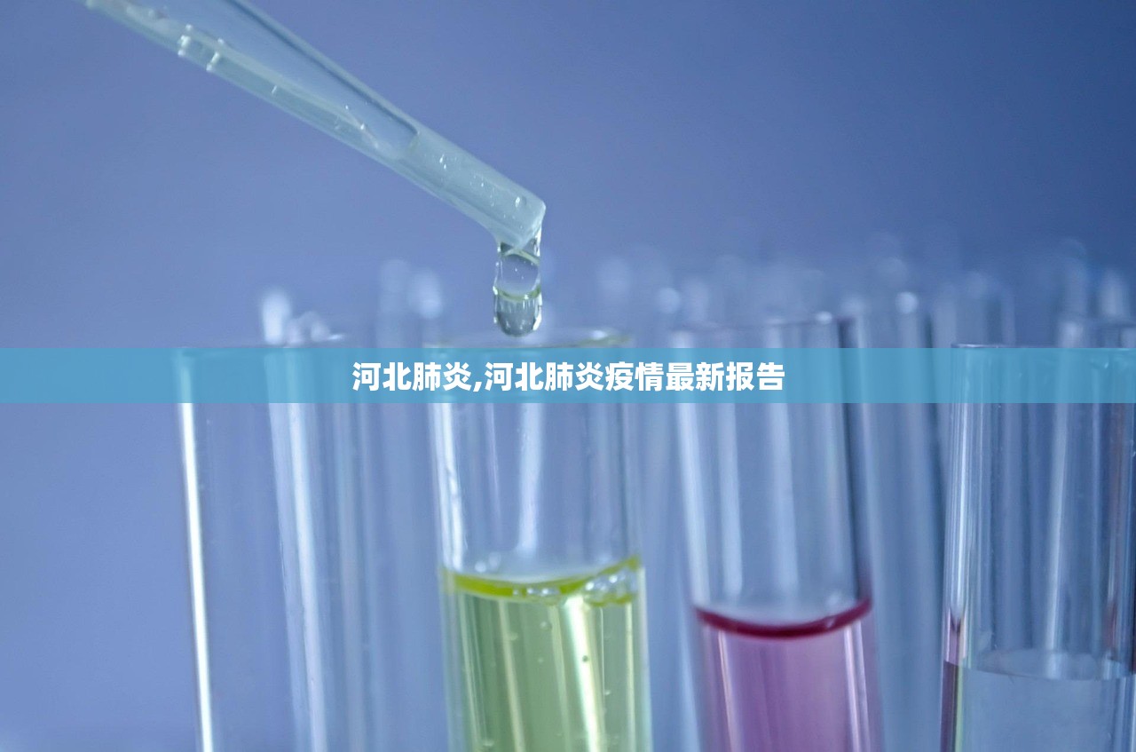 河北肺炎,河北肺炎疫情最新报告