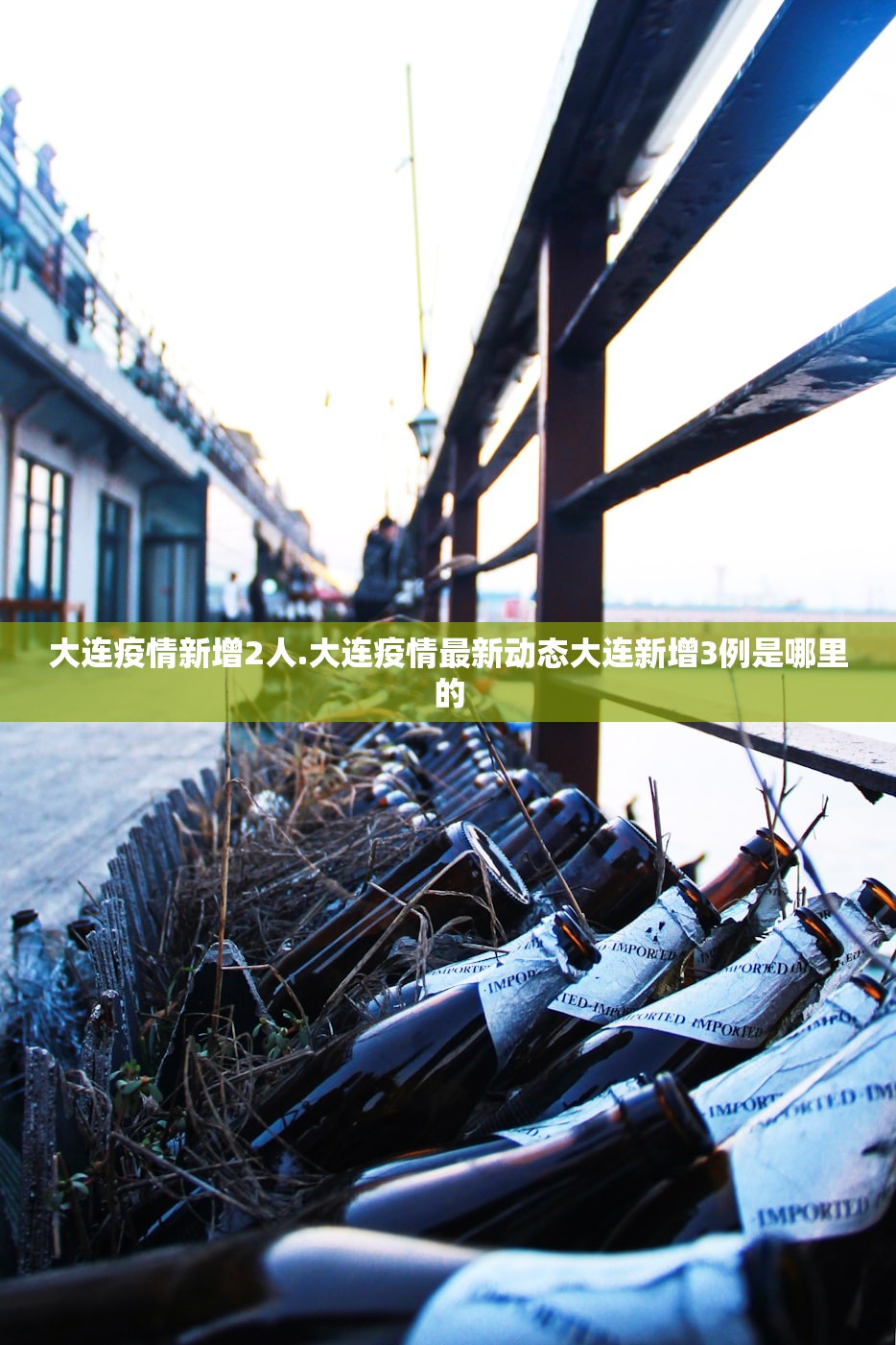大连疫情新增2人.大连疫情最新动态大连新增3例是哪里的