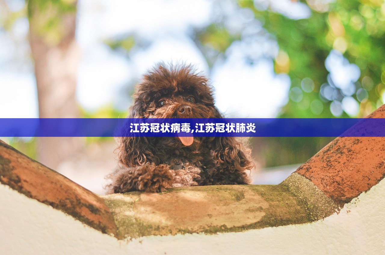 江苏冠状病毒,江苏冠状肺炎