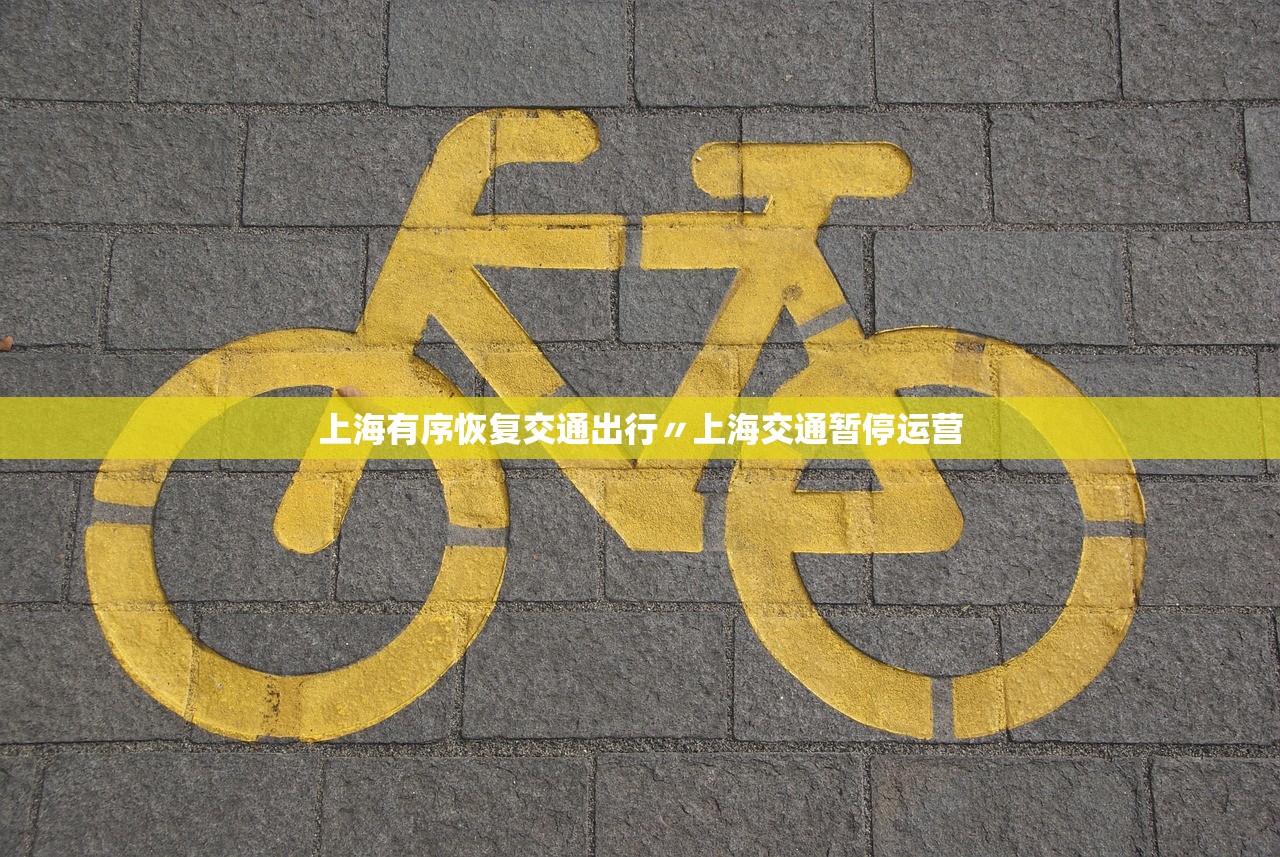 上海有序恢复交通出行〃上海交通暂停运营