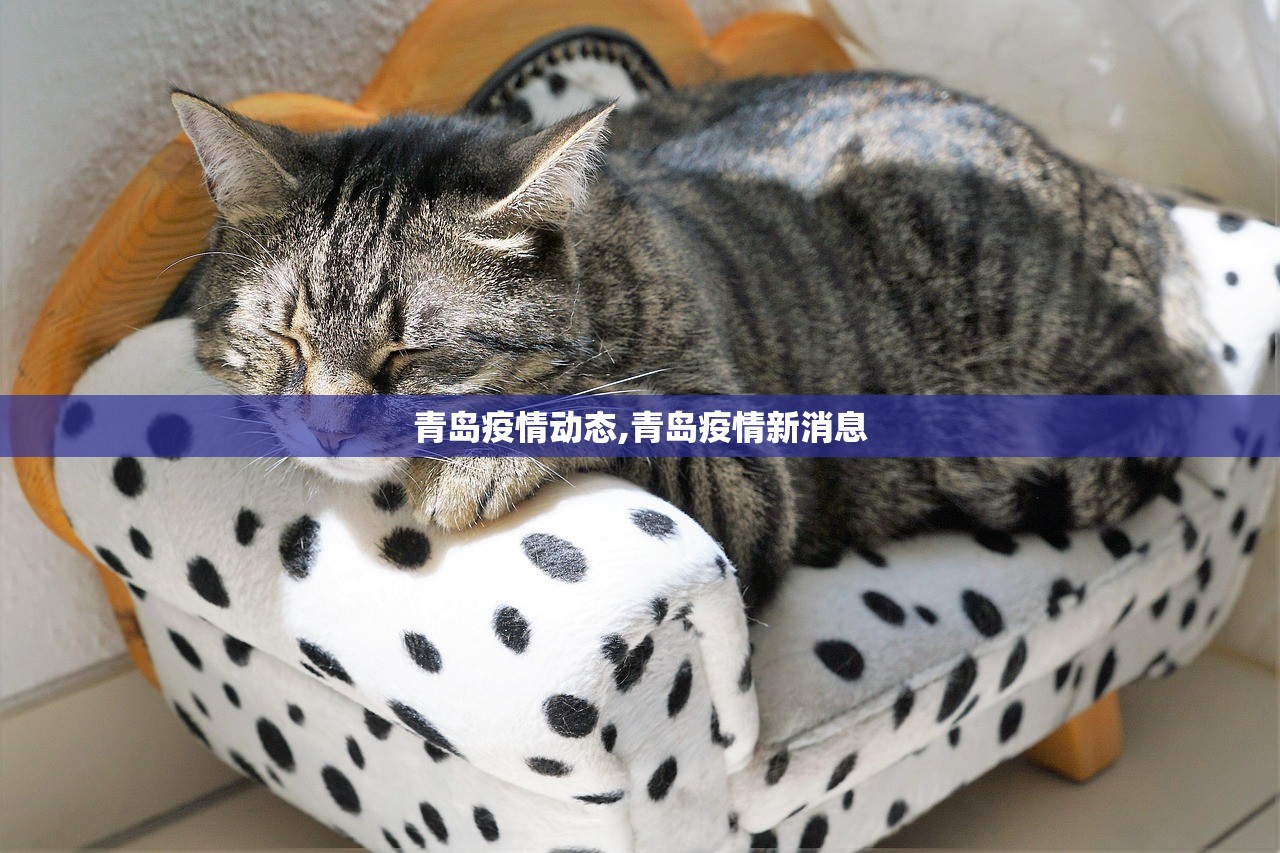 青岛疫情动态,青岛疫情新消息