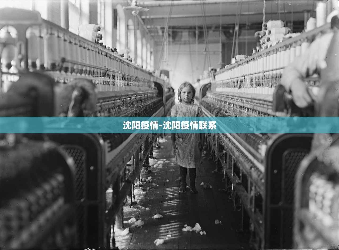 沈阳疫情-沈阳疫情联系