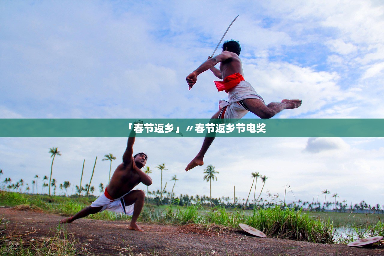 「春节返乡」〃春节返乡节电奖