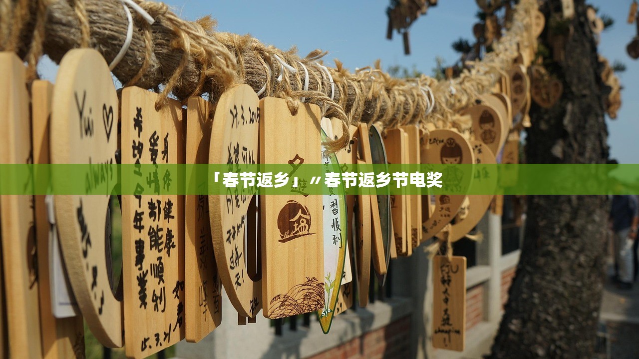 「春节返乡」〃春节返乡节电奖