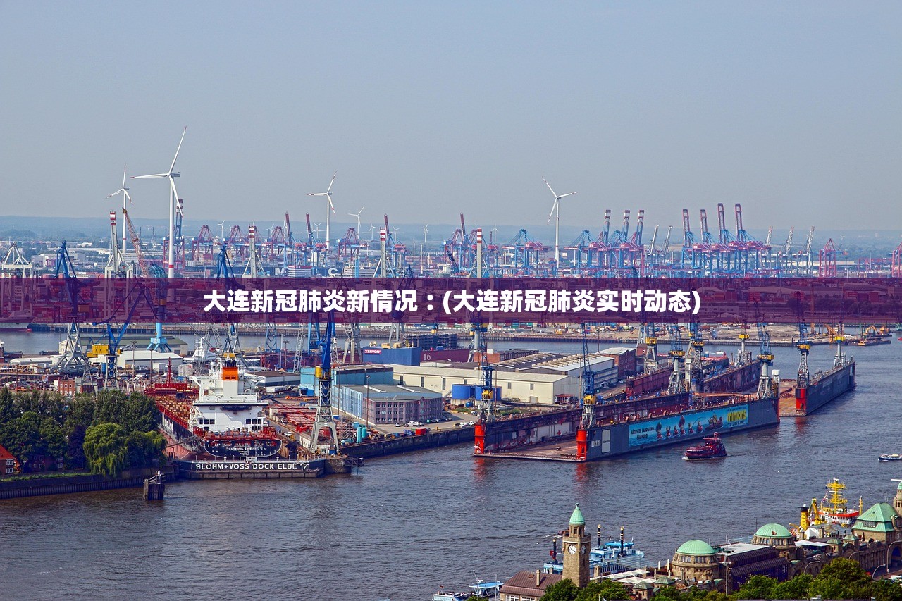 大连新冠肺炎新情况︰(大连新冠肺炎实时动态)