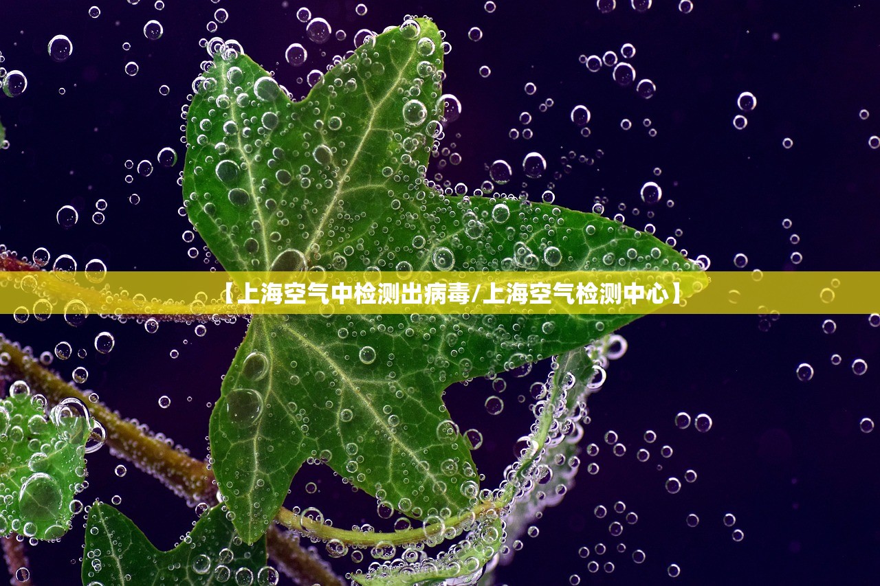 【上海空气中检测出病毒/上海空气检测中心】