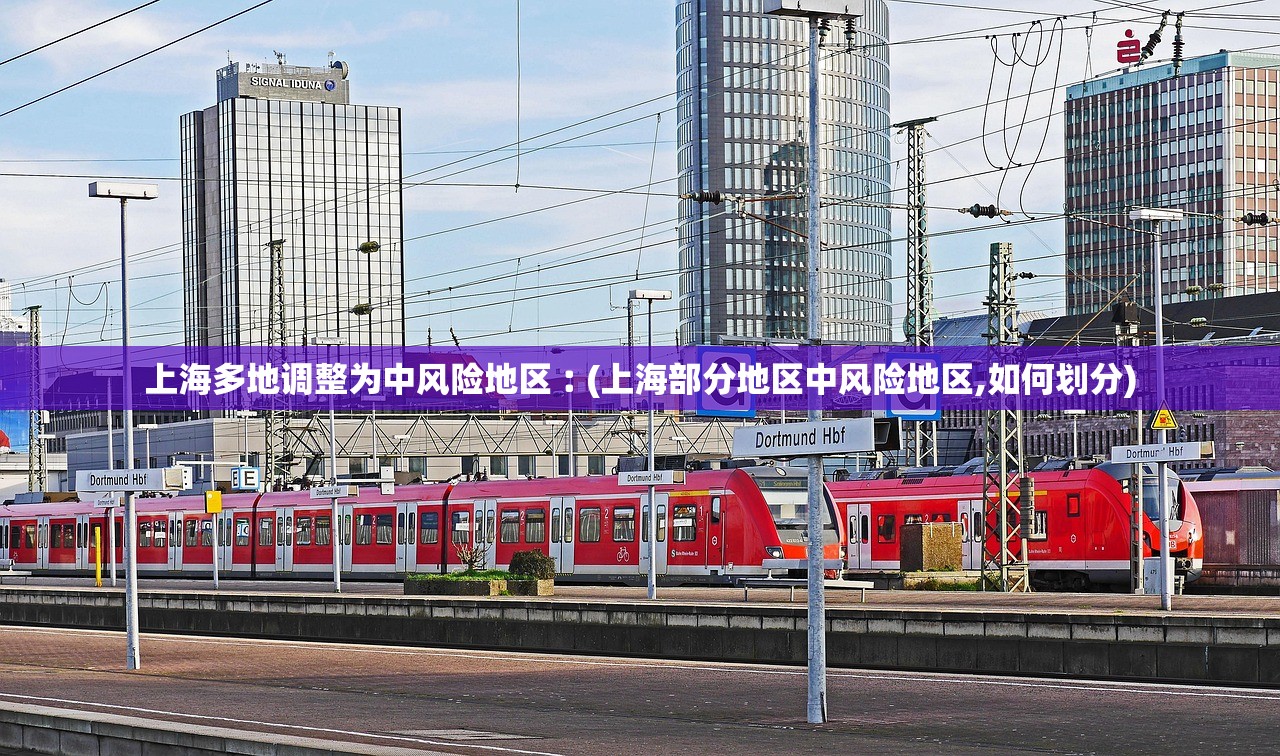 上海多地调整为中风险地区︰(上海部分地区中风险地区,如何划分)