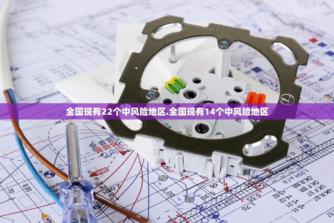 全国现有22个中风险地区.全国现有14个中风险地区