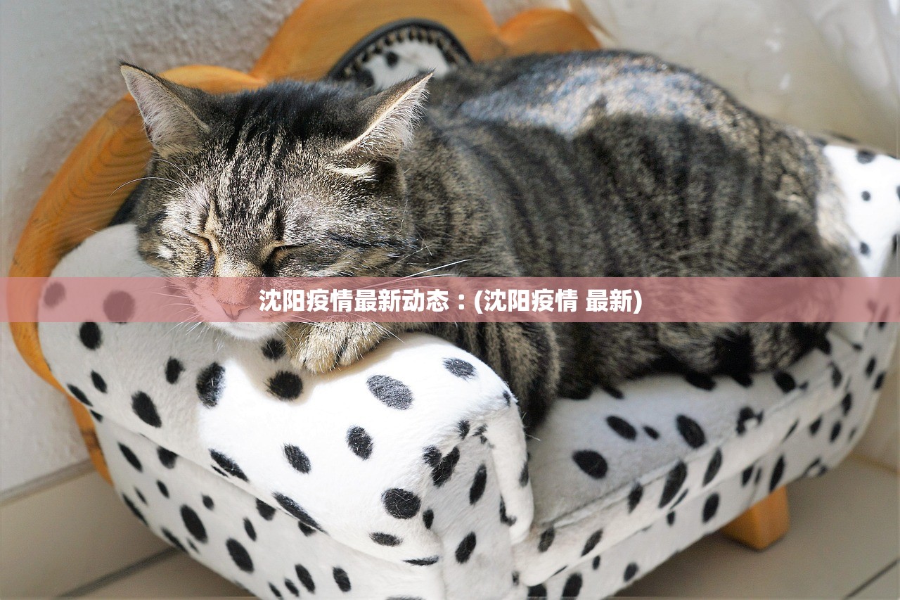 沈阳疫情最新动态︰(沈阳疫情 最新)