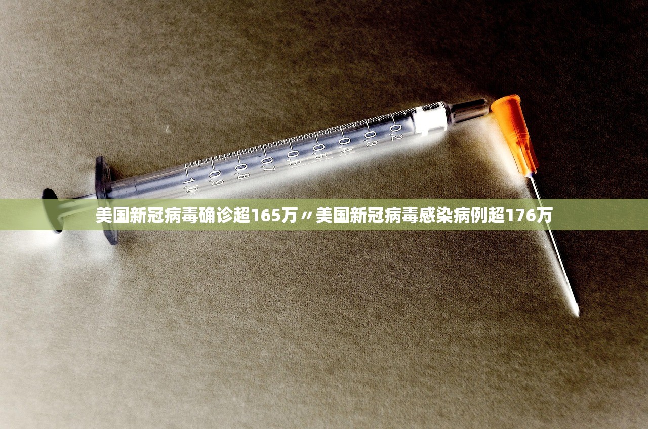 美国新冠病毒确诊超165万〃美国新冠病毒感染病例超176万