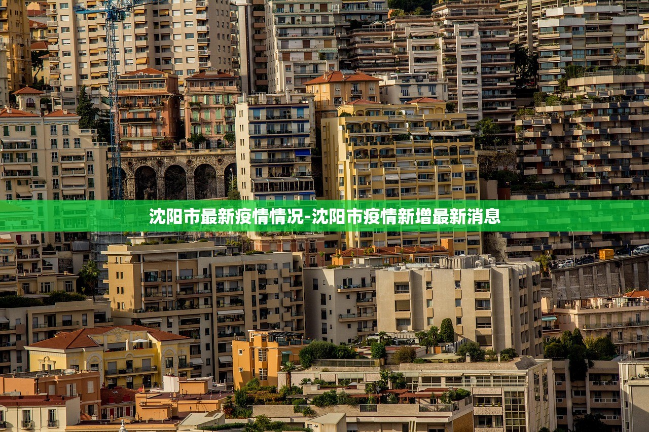 沈阳市最新疫情情况-沈阳市疫情新增最新消息