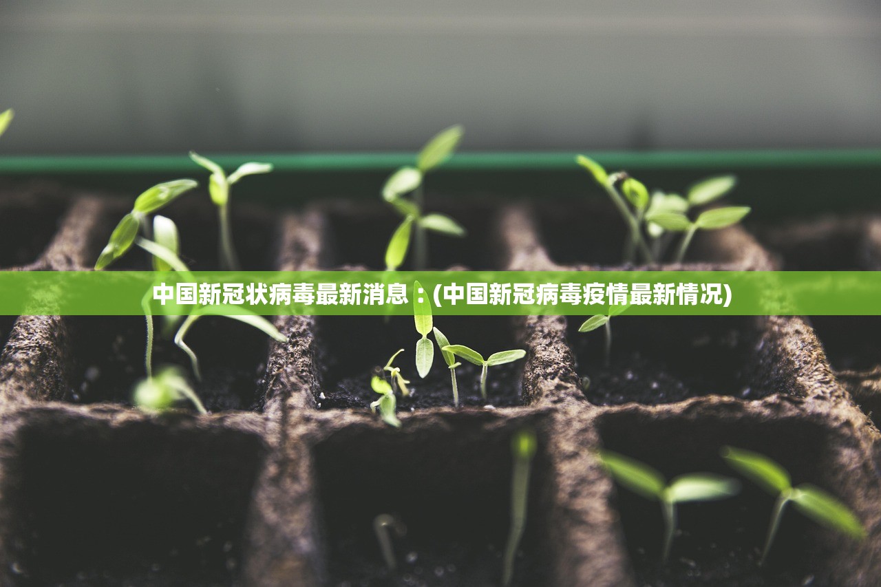 中国新冠状病毒最新消息︰(中国新冠病毒疫情最新情况)