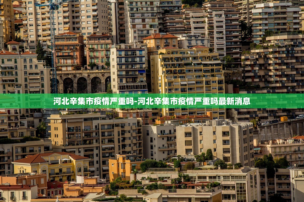 河北辛集市疫情严重吗-河北辛集市疫情严重吗最新消息