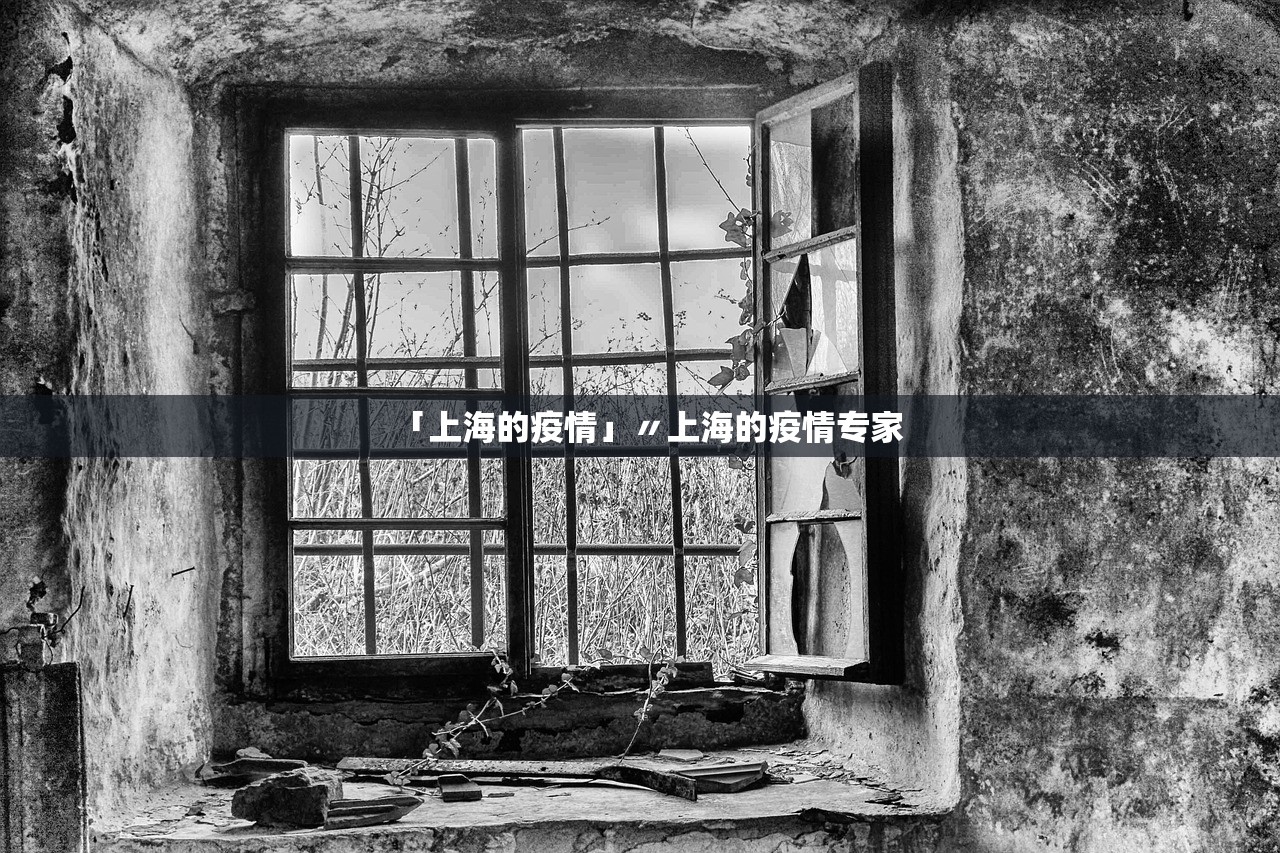 「上海的疫情」〃上海的疫情专家