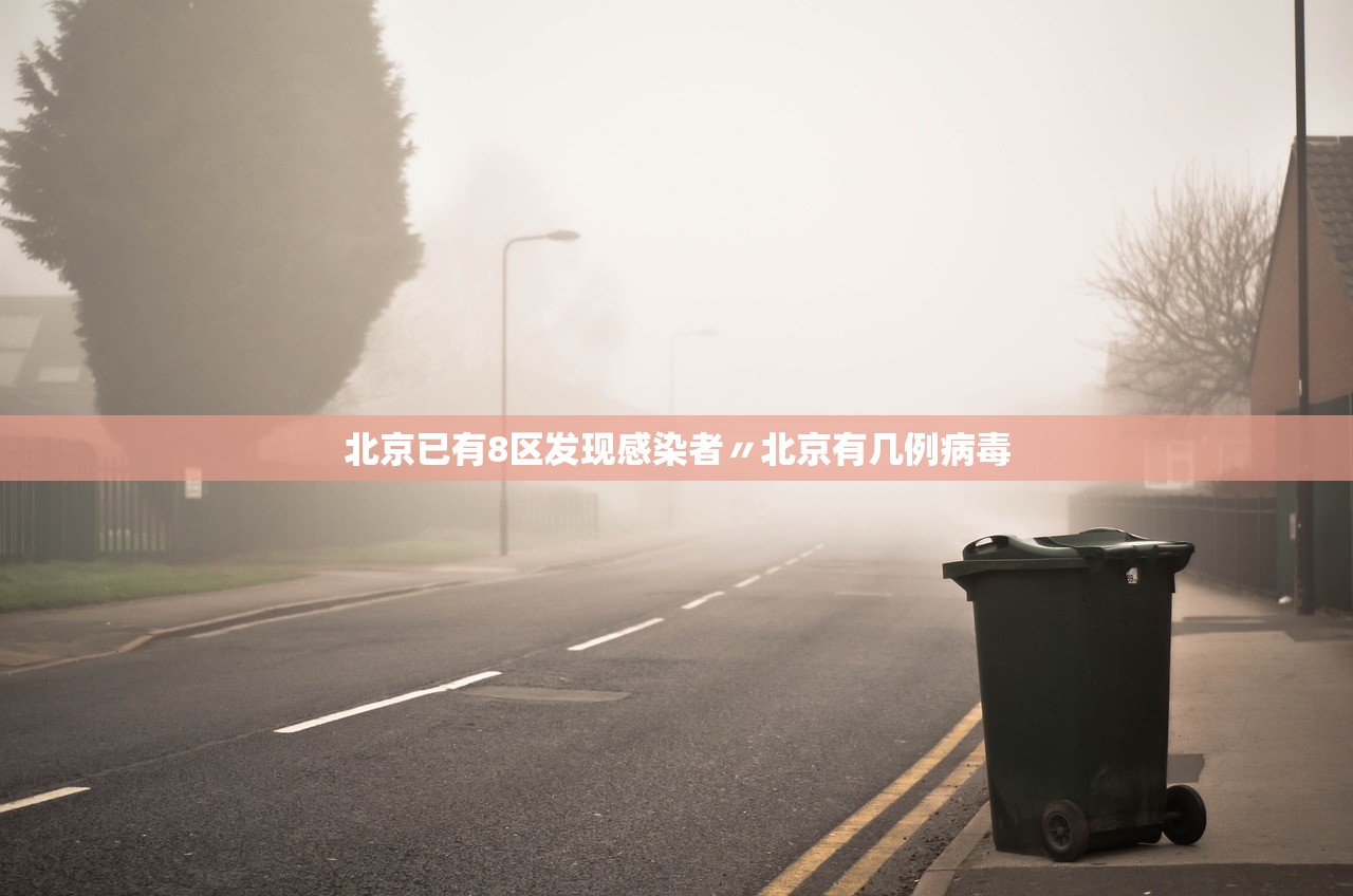 北京已有8区发现感染者〃北京有几例病毒