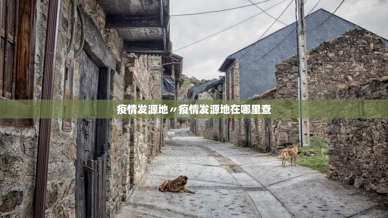 疫情发源地〃疫情发源地在哪里查