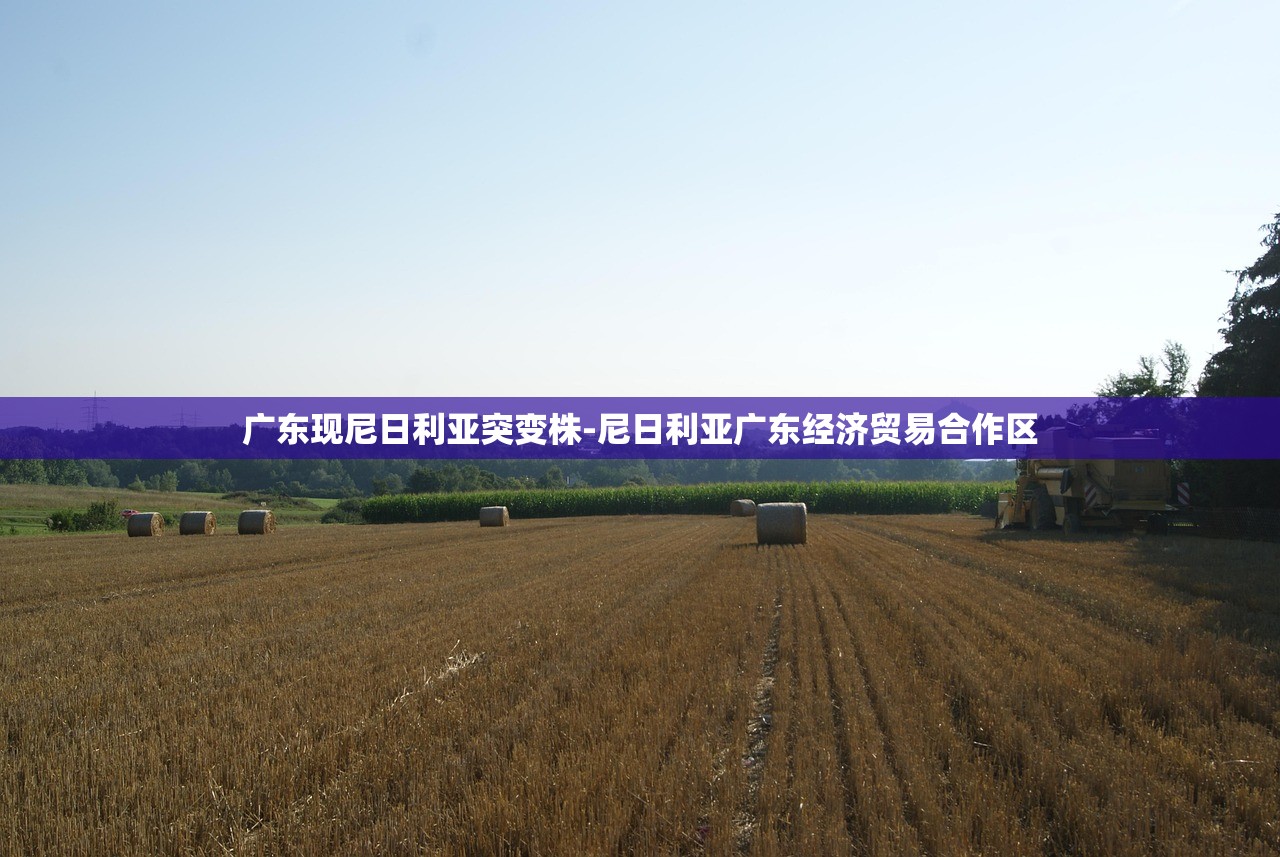 广东现尼日利亚突变株-尼日利亚广东经济贸易合作区