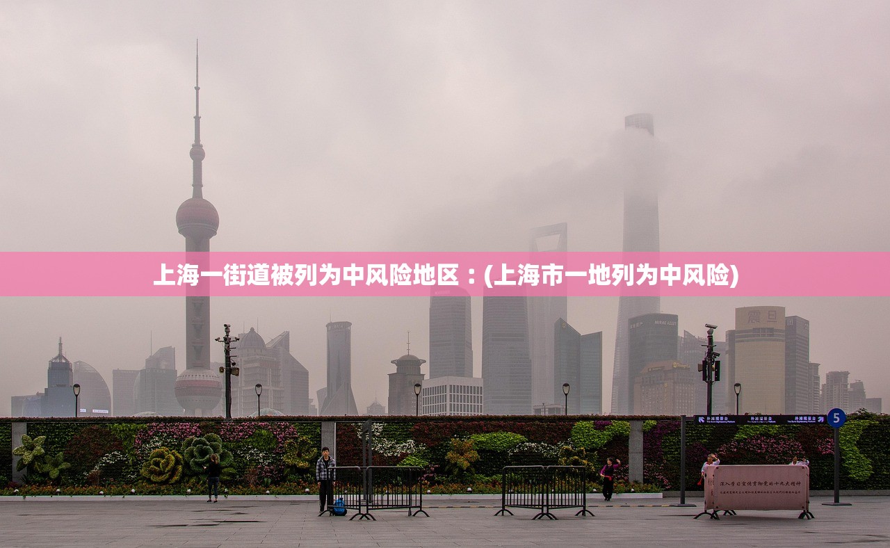 上海一街道被列为中风险地区︰(上海市一地列为中风险)